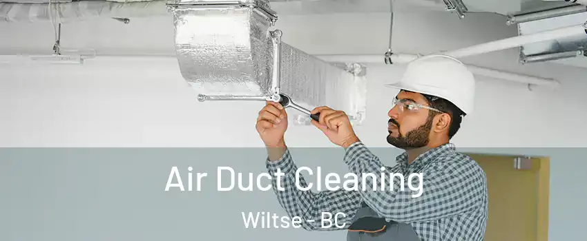  Air Duct Cleaning Wiltse - BC