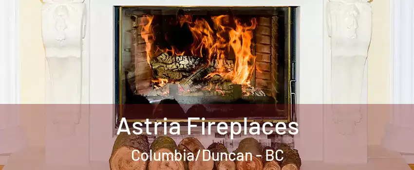  Astria Fireplaces Columbia/Duncan - BC