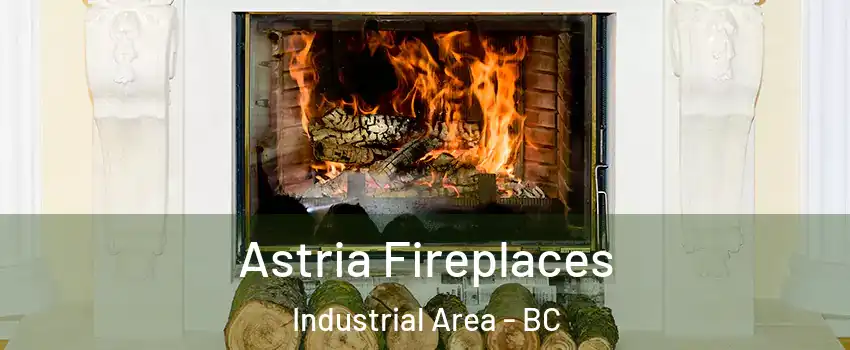  Astria Fireplaces Industrial Area - BC