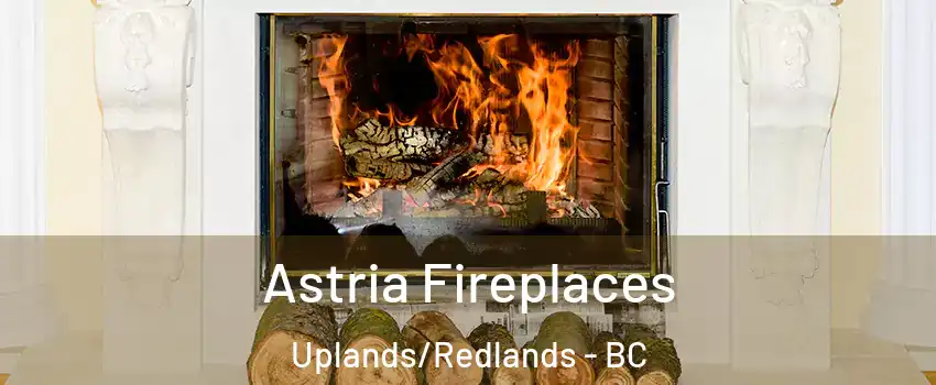  Astria Fireplaces Uplands/Redlands - BC