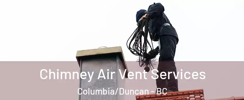  Chimney Air Vent Services Columbia/Duncan - BC