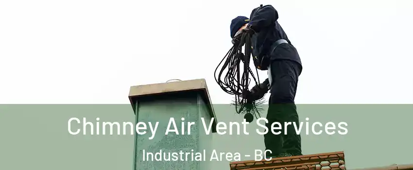  Chimney Air Vent Services Industrial Area - BC
