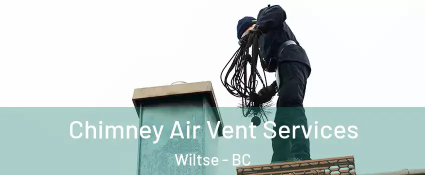  Chimney Air Vent Services Wiltse - BC