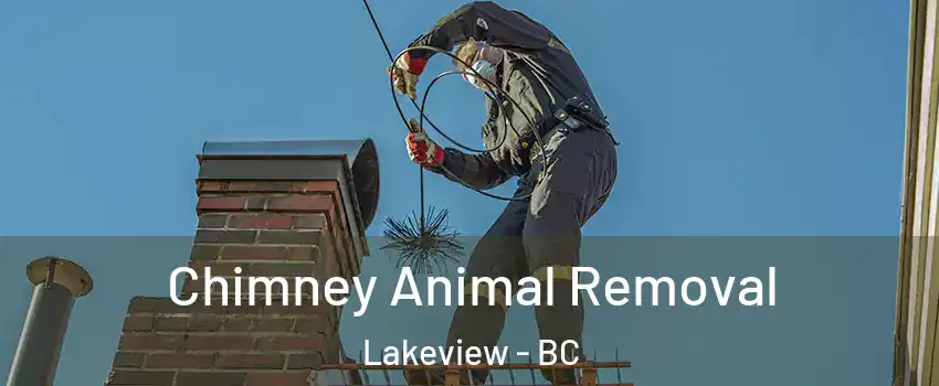  Chimney Animal Removal Lakeview - BC