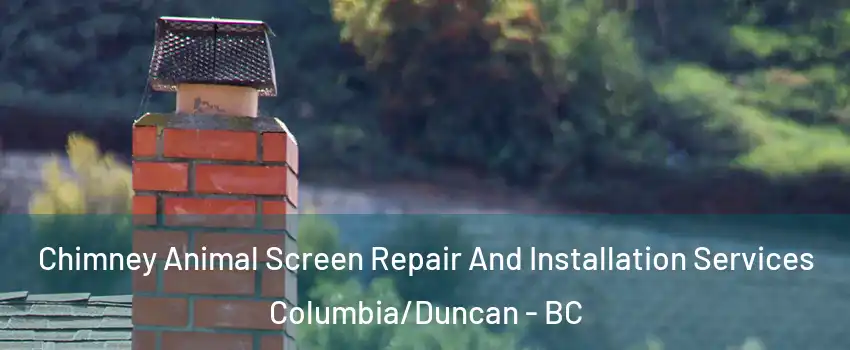  Chimney Animal Screen Repair And Installation Services Columbia/Duncan - BC