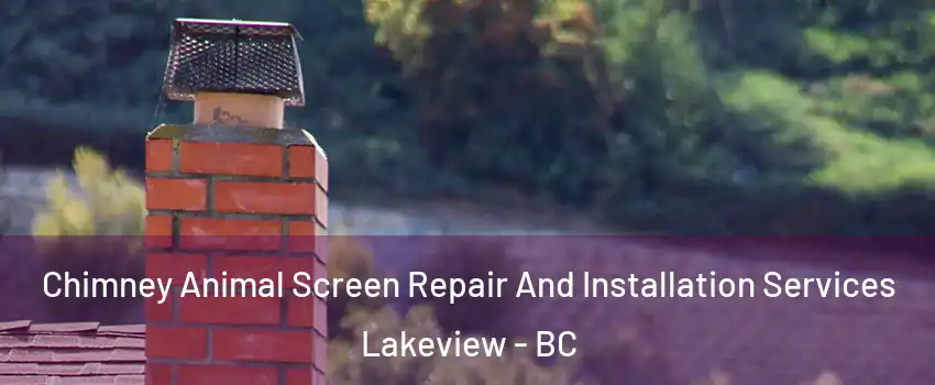  Chimney Animal Screen Repair And Installation Services Lakeview - BC