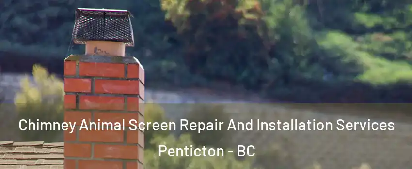  Chimney Animal Screen Repair And Installation Services Penticton - BC