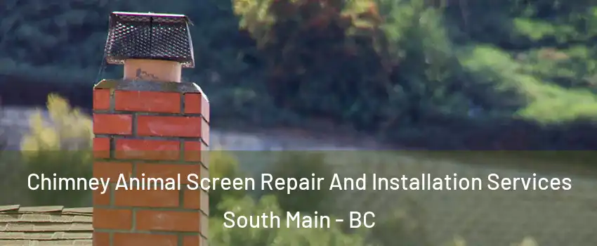  Chimney Animal Screen Repair And Installation Services South Main - BC