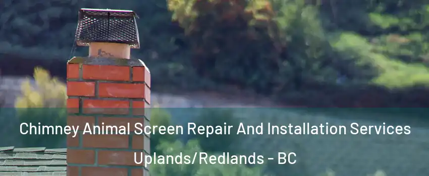  Chimney Animal Screen Repair And Installation Services Uplands/Redlands - BC