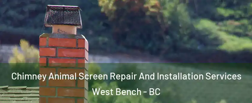  Chimney Animal Screen Repair And Installation Services West Bench - BC