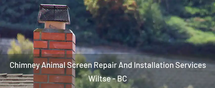  Chimney Animal Screen Repair And Installation Services Wiltse - BC