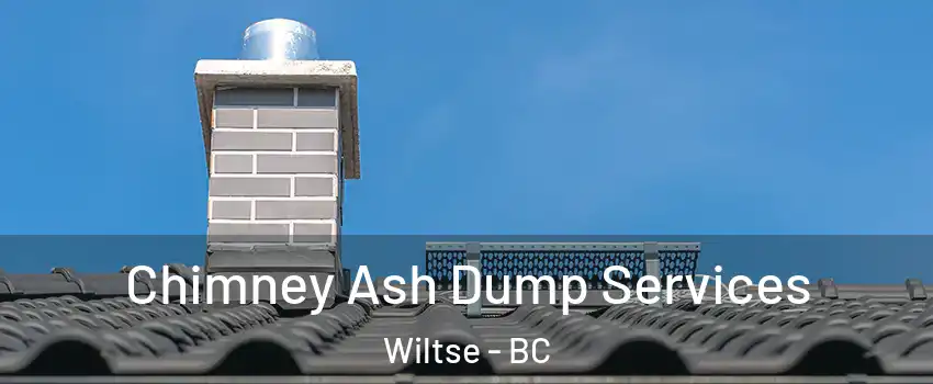  Chimney Ash Dump Services Wiltse - BC