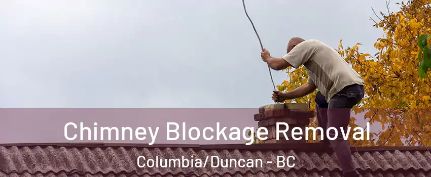  Chimney Blockage Removal Columbia/Duncan - BC