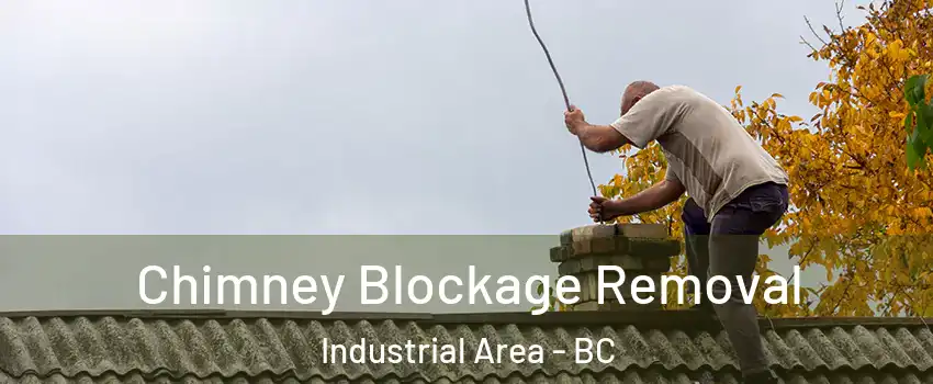  Chimney Blockage Removal Industrial Area - BC
