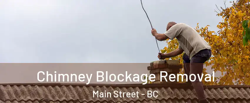 Chimney Blockage Removal Main Street - BC