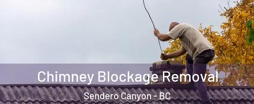  Chimney Blockage Removal Sendero Canyon - BC