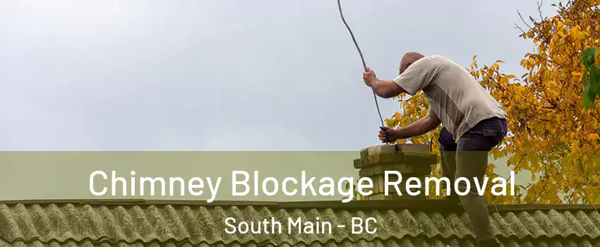  Chimney Blockage Removal South Main - BC