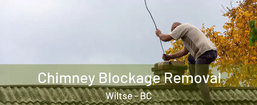  Chimney Blockage Removal Wiltse - BC
