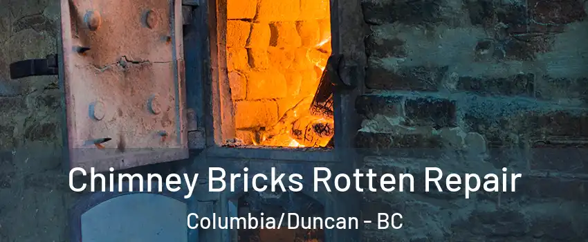  Chimney Bricks Rotten Repair Columbia/Duncan - BC