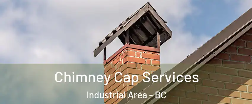 Chimney Cap Services Industrial Area - BC