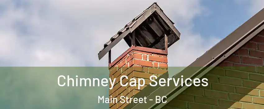  Chimney Cap Services Main Street - BC