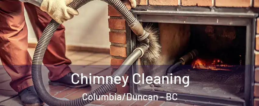  Chimney Cleaning Columbia/Duncan - BC