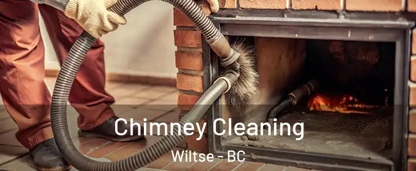  Chimney Cleaning Wiltse - BC