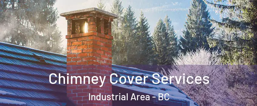  Chimney Cover Services Industrial Area - BC