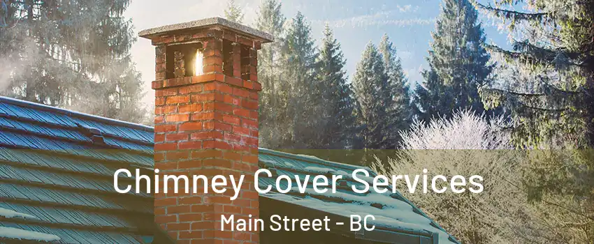  Chimney Cover Services Main Street - BC