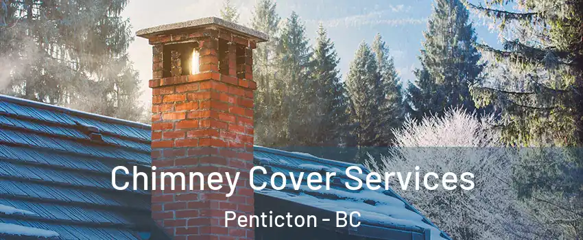  Chimney Cover Services Penticton - BC