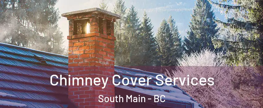  Chimney Cover Services South Main - BC