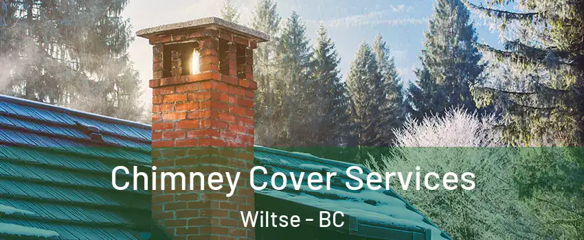  Chimney Cover Services Wiltse - BC