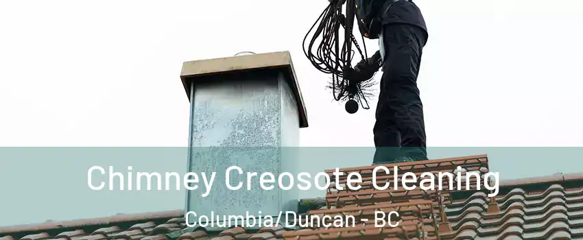  Chimney Creosote Cleaning Columbia/Duncan - BC
