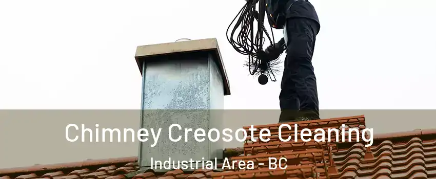  Chimney Creosote Cleaning Industrial Area - BC