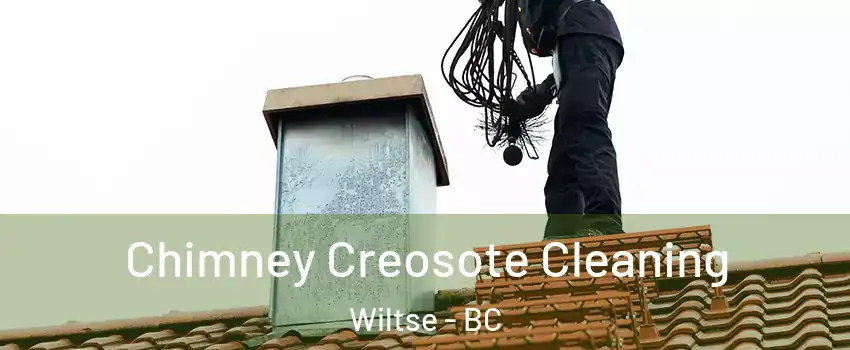  Chimney Creosote Cleaning Wiltse - BC