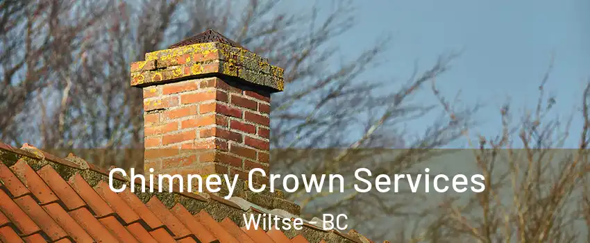  Chimney Crown Services Wiltse - BC