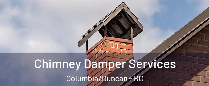  Chimney Damper Services Columbia/Duncan - BC