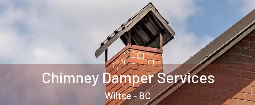  Chimney Damper Services Wiltse - BC