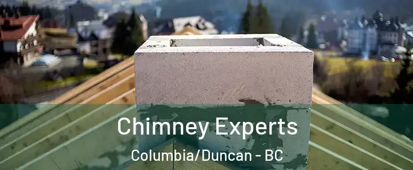 Chimney Experts Columbia/Duncan - BC