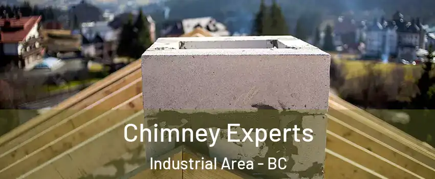  Chimney Experts Industrial Area - BC