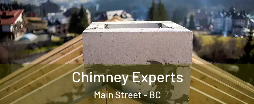 Chimney Experts Main Street - BC