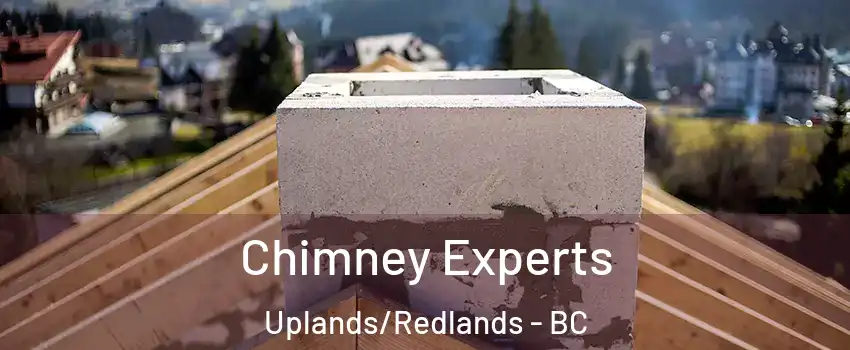 Chimney Experts Uplands/Redlands - BC