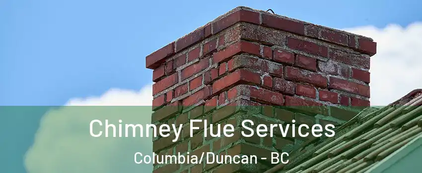  Chimney Flue Services Columbia/Duncan - BC