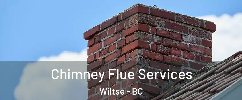  Chimney Flue Services Wiltse - BC