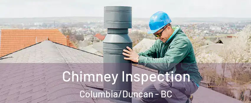  Chimney Inspection Columbia/Duncan - BC