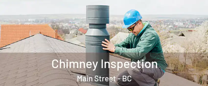 Chimney Inspection Main Street - BC