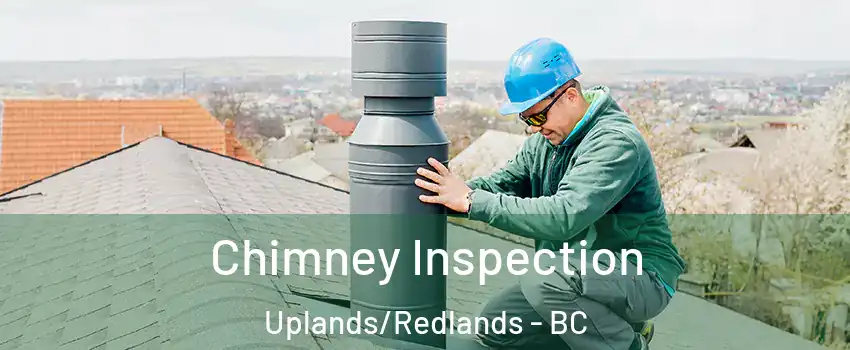  Chimney Inspection Uplands/Redlands - BC