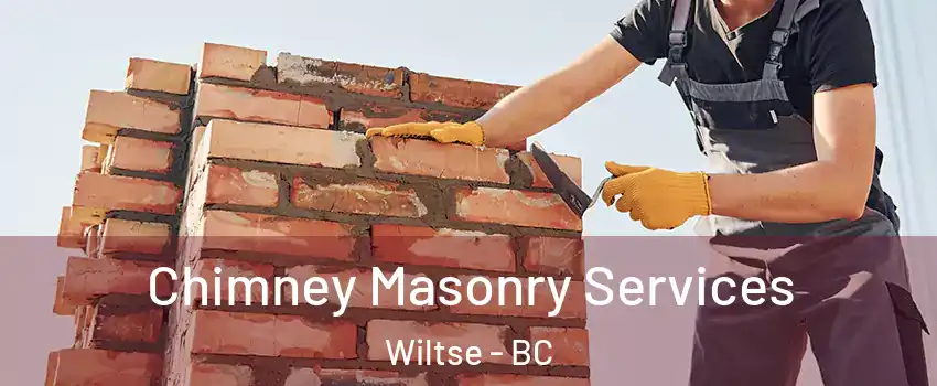  Chimney Masonry Services Wiltse - BC