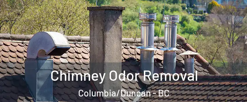  Chimney Odor Removal Columbia/Duncan - BC