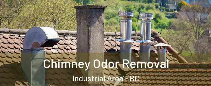 Chimney Odor Removal Industrial Area - BC